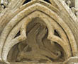 Panel 16:06 - Long eared basilisk